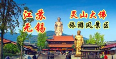 www.huangsewangzan江苏无锡灵山大佛旅游风景区